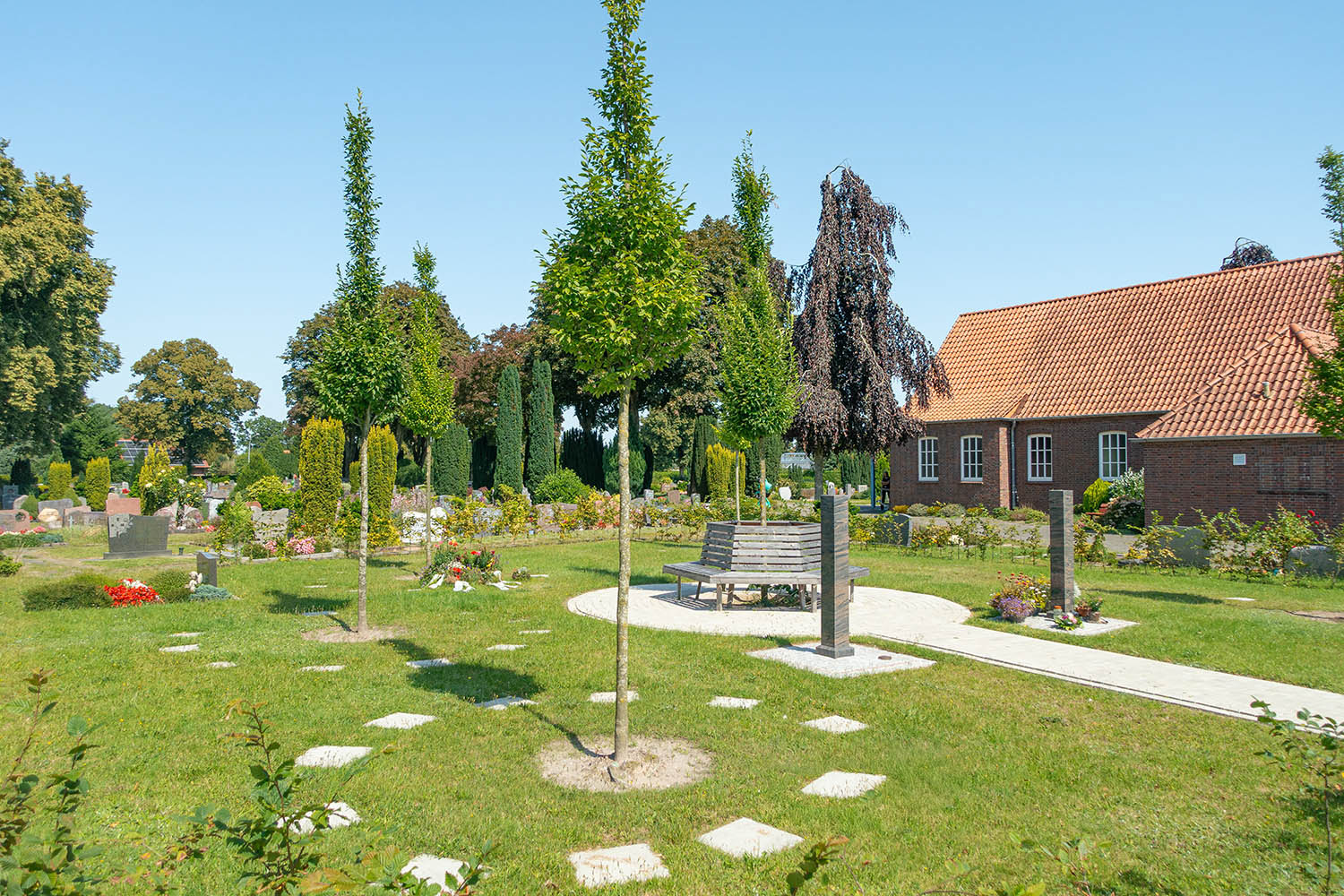 Das Bild zeigt den Urnenbaumhain auf dem Friedhof Schortens. Im Vordergrund zeigt einen Baum, um welchen Beisetzungsplätze vorhanden sind. In der Mitte ist eine runde Sitzmöglichkeit zu sehen und im Hintergrund die Gräber auf dem Friedhof.
