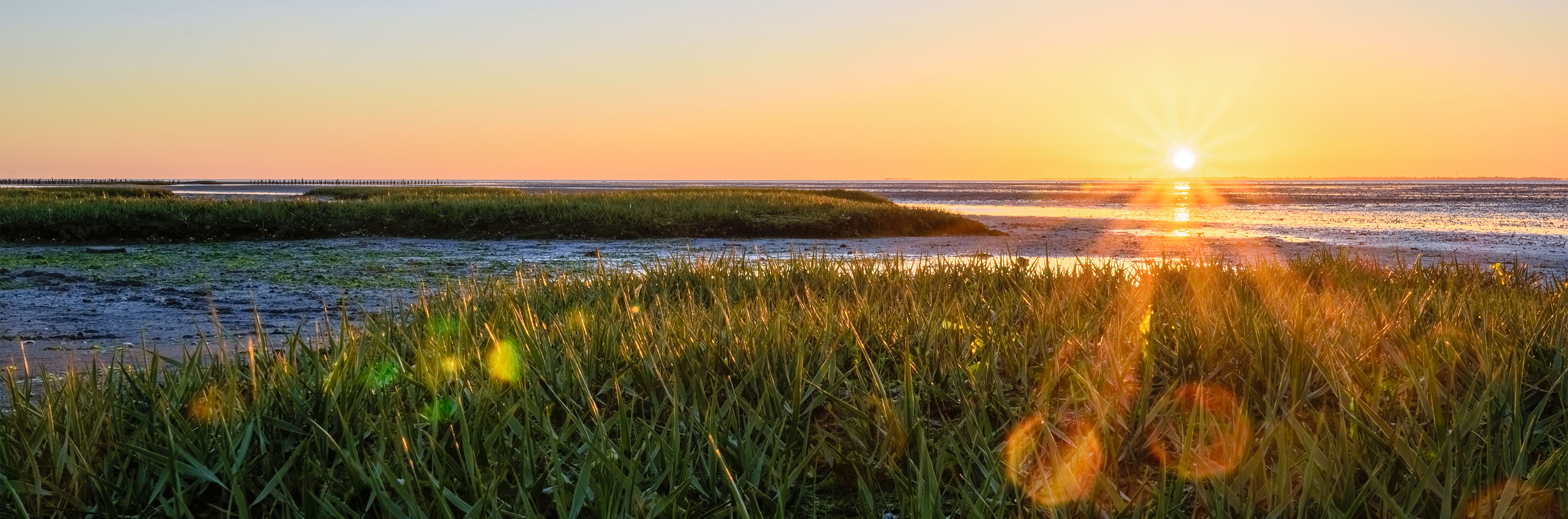 Sonnenuntergang über einer Küstenlandschaft mit Gras, Wasser und weitem Horizont